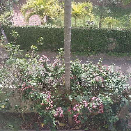 Paradise Inn Guest House Alappuzha 외부 사진