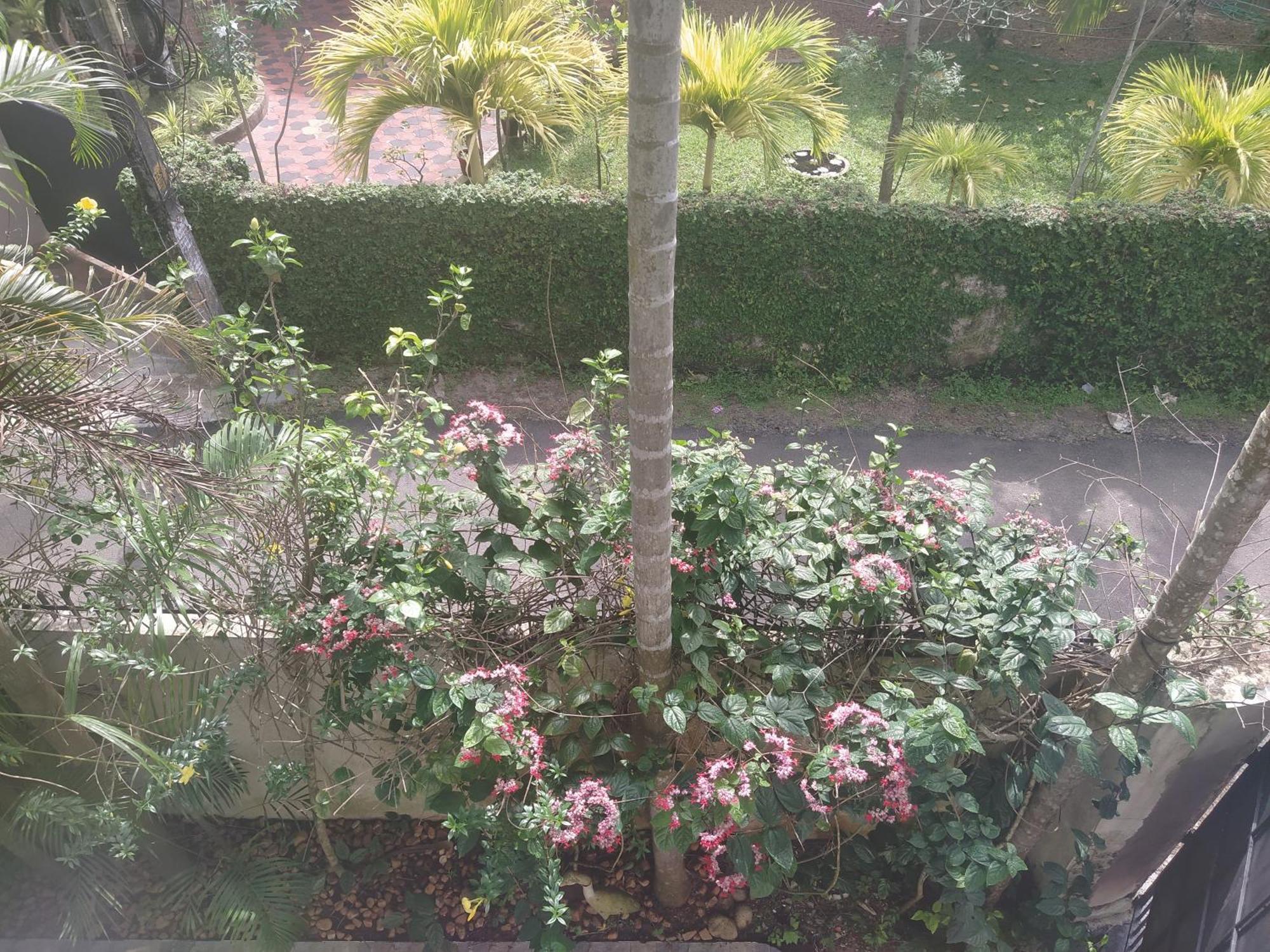 Paradise Inn Guest House Alappuzha 외부 사진